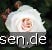 Schwanensee