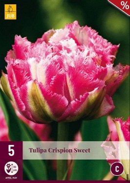 Crispion Sweet