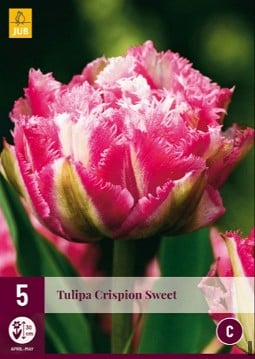 Crispion Sweet kaufen, click for more details Crispion Sweet