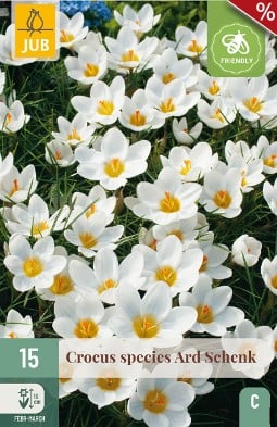 Crocus Ard Schenk kaufen, clicken für mehr Details Crocus Ard Schenk