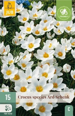 Crocus Ard Schenk