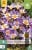 Crocus Sieberi Tricolor