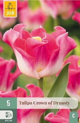 Crown of Dynasty kaufen, click for more details Crown of Dynasty