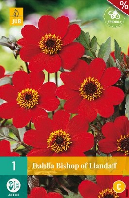 Dahlie Bishop of Llandaff