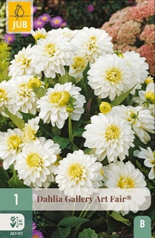 Dahlie Gallery Art Fair