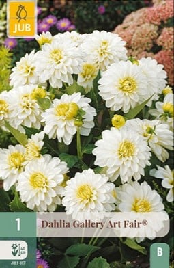 Dahlie Gallery Art Fair kaufen, clicken für mehr Details Dahlie Gallery Art Fair