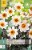 Dahlie Happy Days Cream White