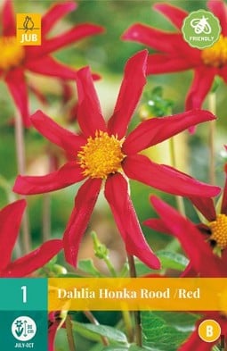 Dahlie Honka Rot kaufen, clicken für mehr Details Dahlie Honka Rot