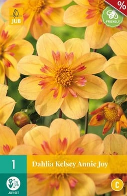 Dahlie Kelsey Annie Joy kaufen, clicken für mehr Details Dahlie Kelsey Annie Joy