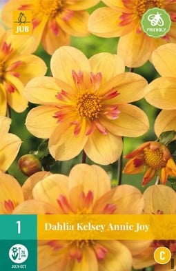 Dahlie Kelsey Annie Joy kaufen, clicken für mehr Details Dahlie Kelsey Annie Joy