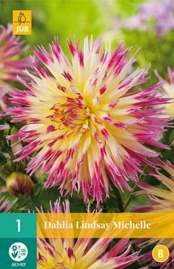 Dahlie Lindsay Michelle