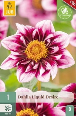 Dahlie Liquid Desire kaufen, clicken für mehr Details Dahlie Liquid Desire