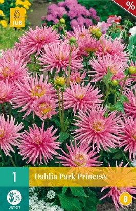 Dahlie Park Princess