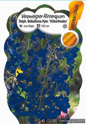 Rittersporn