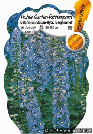Rittersporn