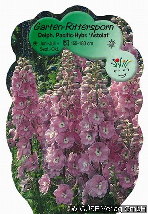 Rittersporn Hybride 'Pacific Astolat'