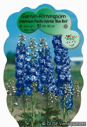 Staudenrittersporn
