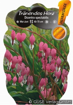 Tränendes Herz kaufen, clicken für mehr Details Tränendes Herz