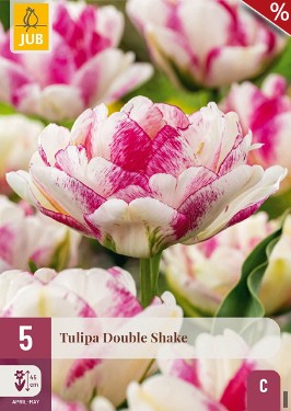 Double Shake