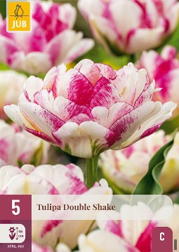 Double Shake