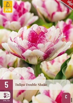 Double Shake kaufen, clicken für mehr Details Double Shake