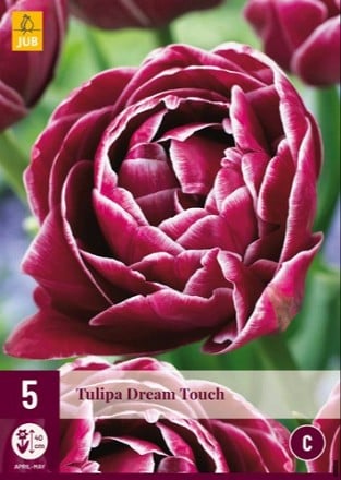 Dream Touch