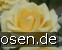 Bad Hersfeld syn. Mystery Girl