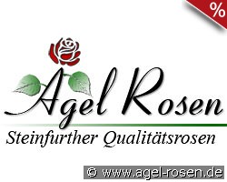 Rosella DDR