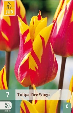 Fire Wings kaufen, click for more details Fire Wings