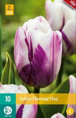 Flaming Flag kaufen, click for more details Flaming Flag