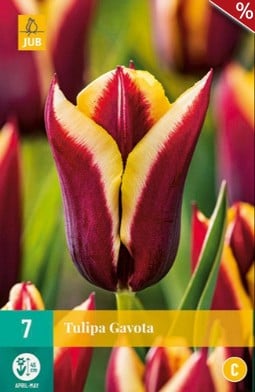 Gavota kaufen, clicken für mehr Details Gavota