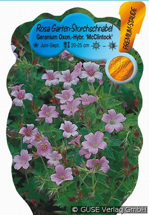 Garten-Storchschnabel