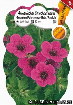 Garten-Storchschnabel