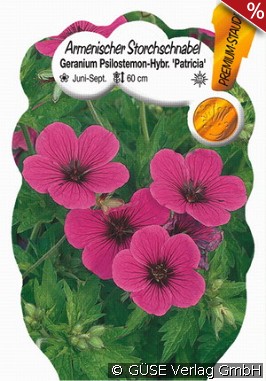 Garten-Storchschnabel