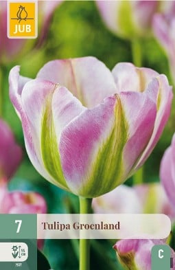 Groenland kaufen, clicken für mehr Details Groenland