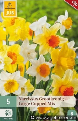 Großkronige Narzissen Mix kaufen, clicken für mehr Details Großkronige Narzissen Mix