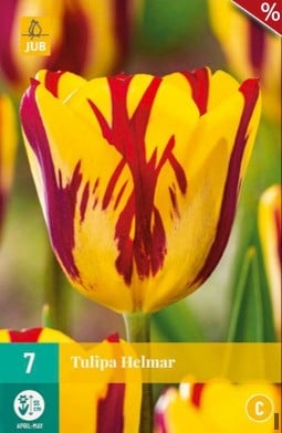 Helmar kaufen, click for more details Helmar