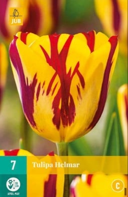 Helmar kaufen, click for more details Helmar