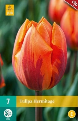 Hermitage kaufen, click for more details Hermitage