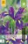 Iris Hollandica Blau