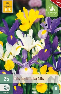 Iris Hollandica Mix