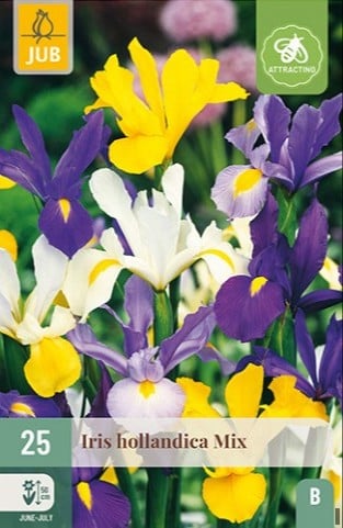 Iris Hollandica Mix