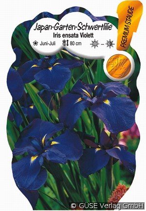 Japanische Schwertlilie