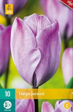 Jacuzzi kaufen, clicken für mehr Details Jacuzzi