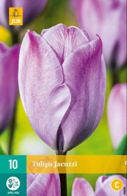 Jacuzzi kaufen, click for more details Jacuzzi