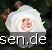 Schwanensee