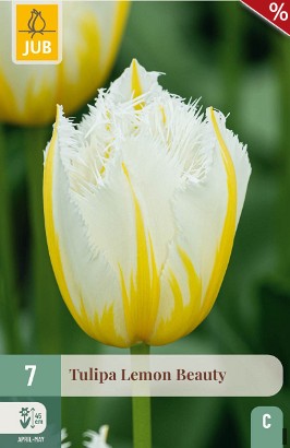 Lemon Beauty