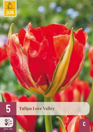 Love Valley