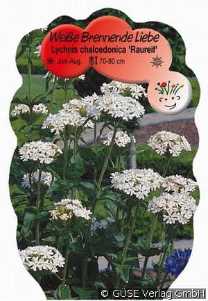 Brennende Liebe Alba