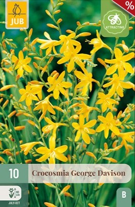 Montbretie George Davison